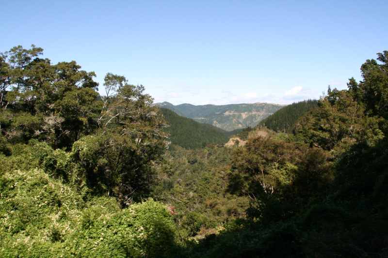 Nieuw-Zeeland 2011 - 0972